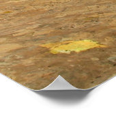 Poster Canyon sans fin (Coin)