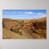 Poster Canyon sans fin (Devant)