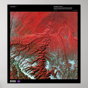 Poster Canyon Utah de désolation