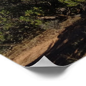 Poster Canyonlands, Utah (Coin)