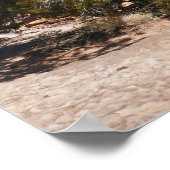 Poster Canyonlands View from Cave Springs Trail (Coin)