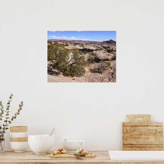 Poster Canyonlands View from Cave Springs Trail (Cuisine)