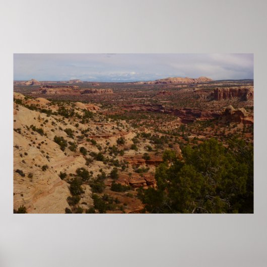 Poster Canyonlands Vue depuis le sentier Neck Springs (Devant)