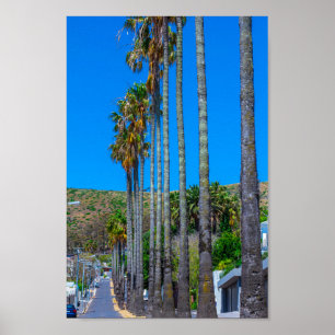 Poster Cap Fresnaye Cityscape Afrique du Sud