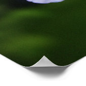 Poster Cap-plumbago (Coin)