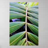 Poster capa de pamonha (Devant)