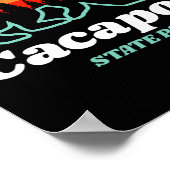 Poster Capacon State Park West Virginia Bear Summer  (Coin)