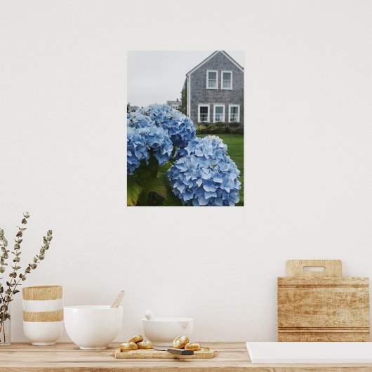 Poster Cape Cod Hydrangea Home (Cuisine)