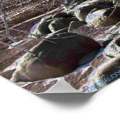 POSTER CAPE DE GLACE DE LEVER (Coin)