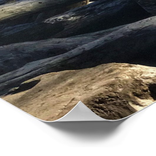 Poster Cape Disappointment Lighthouse, Washington (Coin)