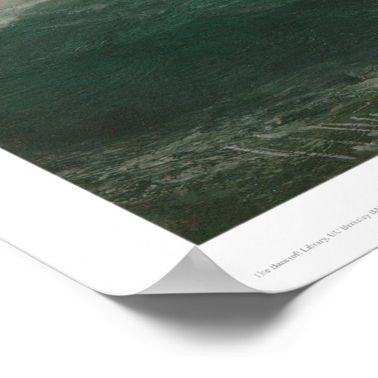 Poster Cape Disnomination (1248) (Coin)