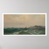 Poster Cape Disnomination (1248) (Devant)