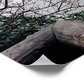 Poster Cape Flattery Olympic Peninsula - Washington (Coin)