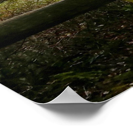 Poster Cape Flattery Olympic Peninsula - Washington (Coin)