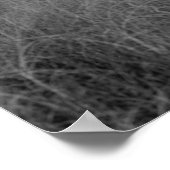 Poster Cape Hatteras Lighthouse (Coin)