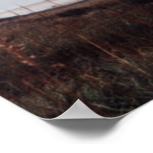 Poster Cape Hatteras Lighthouse (Coin)