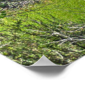 Poster Cape Hatteras Phare de Wetlands (Coin)