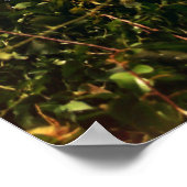 Poster Cape Henry Lighthouse (Coin)