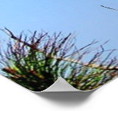 Poster Cape Lookout (Coin)