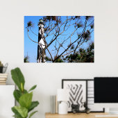 Poster Cape Lookout (Bureau à domicile)