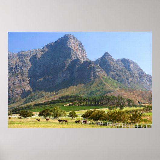 Poster Cape Town, Western Cape, Afrique du Sud (Devant)