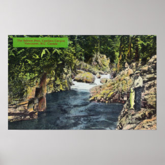 Poster Capilano Canyon Vue sur la piscine Saumon