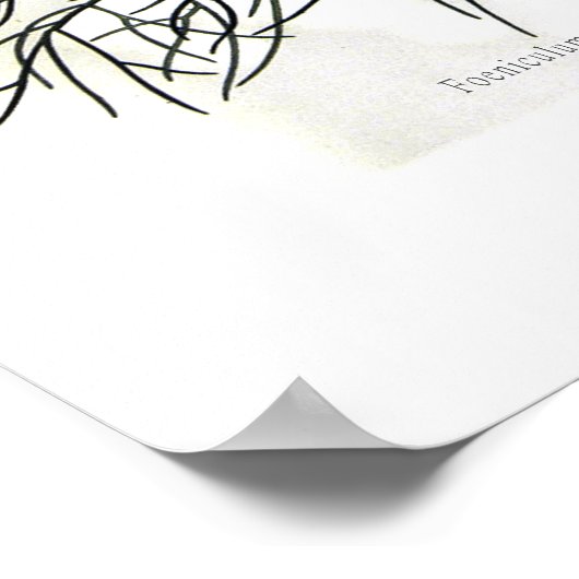 Poster Capillaceum de programmes alimentaires (fenouil) (Coin)