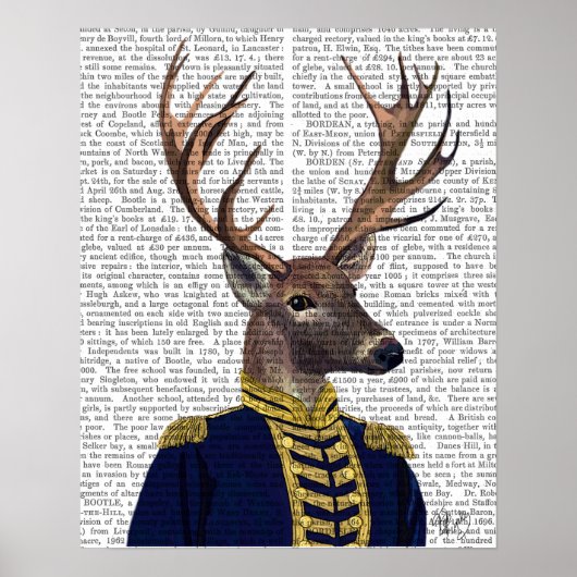 Poster Capitaine Deer (Devant)