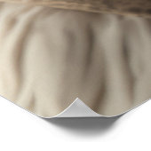 Poster Capitaine du pilote d'ours polaire (Coin)