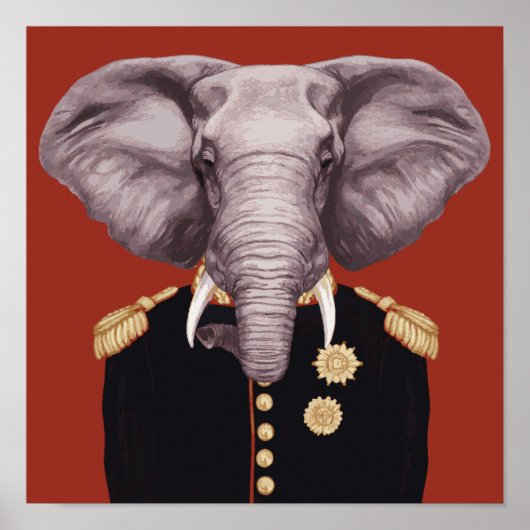 Poster Capitaine Elephant (Devant)