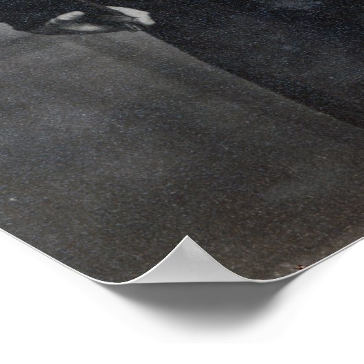 Poster Capitaine Robert Falcon Scott (Coin)