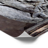 Poster Capitale du pilier des Nautes (Coin)