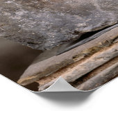 Poster Capitale du pilier des Nautes représentant Cernunn (Coin)