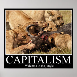Poster Capitalism Demotivational