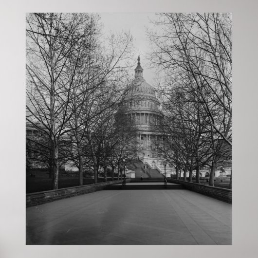 Poster Capitol américain (Devant)