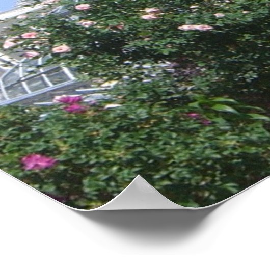 Poster Capitol du parc Bartholdi (Coin)