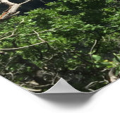 Poster Capitol Peak, Colorado (Coin)