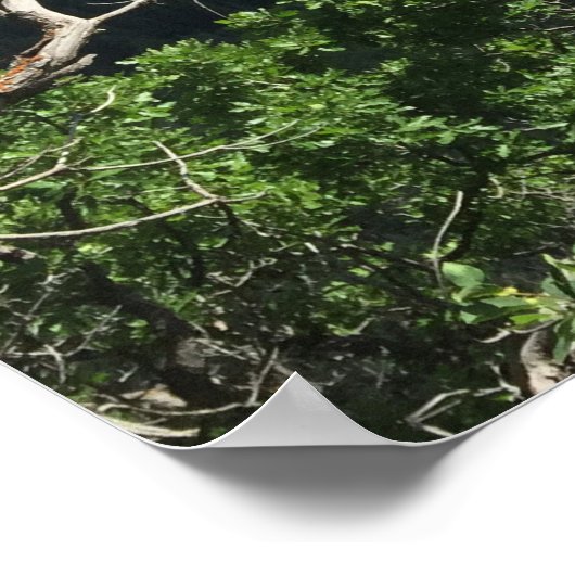 Poster Capitol Peak, Colorado (Coin)