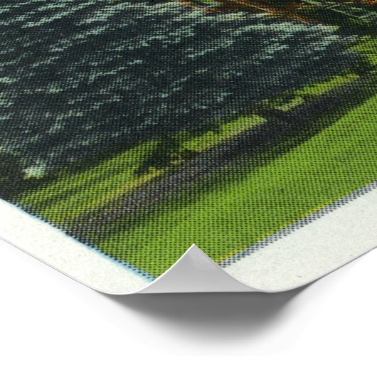 Poster Capitol Steps Vue du parc national (Coin)