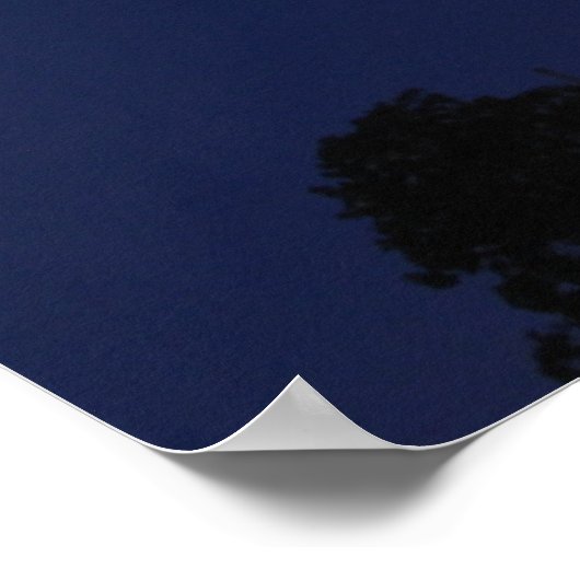 Poster Capitole américain la nuit (Coin)