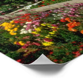 Poster Capitole d'Etat rose, jardins de fleurs, Phoenix, (Coin)