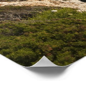 Poster Capo Caccia, Alghero, Sardaigne, Italie (Coin)