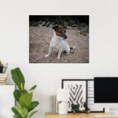 Poster Capo von Oppenheim, chien Jack Russell (Bureau à domicile)