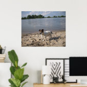 Poster Capo von Oppenheim, chien Jack Russell (Bureau à domicile)