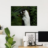 Poster Capo von Oppenheim, chien Jack Russell Terrier (Bureau à domicile)