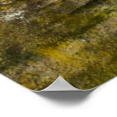 Poster Capo von Oppenheim, chien Jack Russell Terrier (Coin)