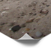 Poster Capo von Oppenheim, Jack Russell Chien (Coin)