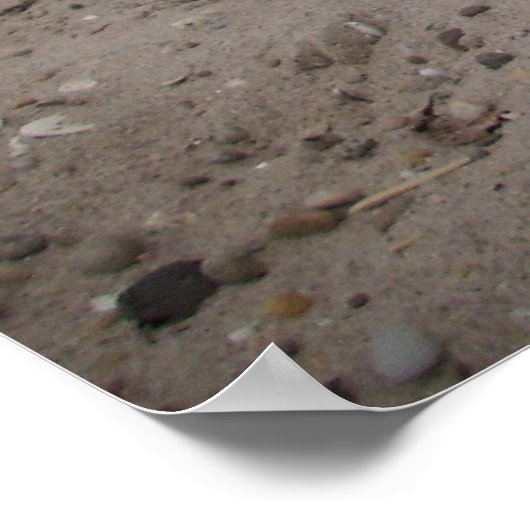 Poster Capo von Oppenheim, Jack Russell Chien (Coin)