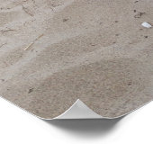 Poster Capo von Oppenheim, Jack Russell Terrier Chien (Coin)