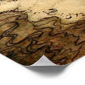 Poster Caporushes (Coin)